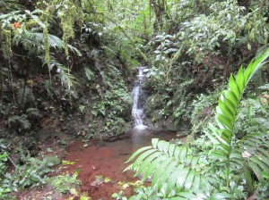 Monteverde 5  
